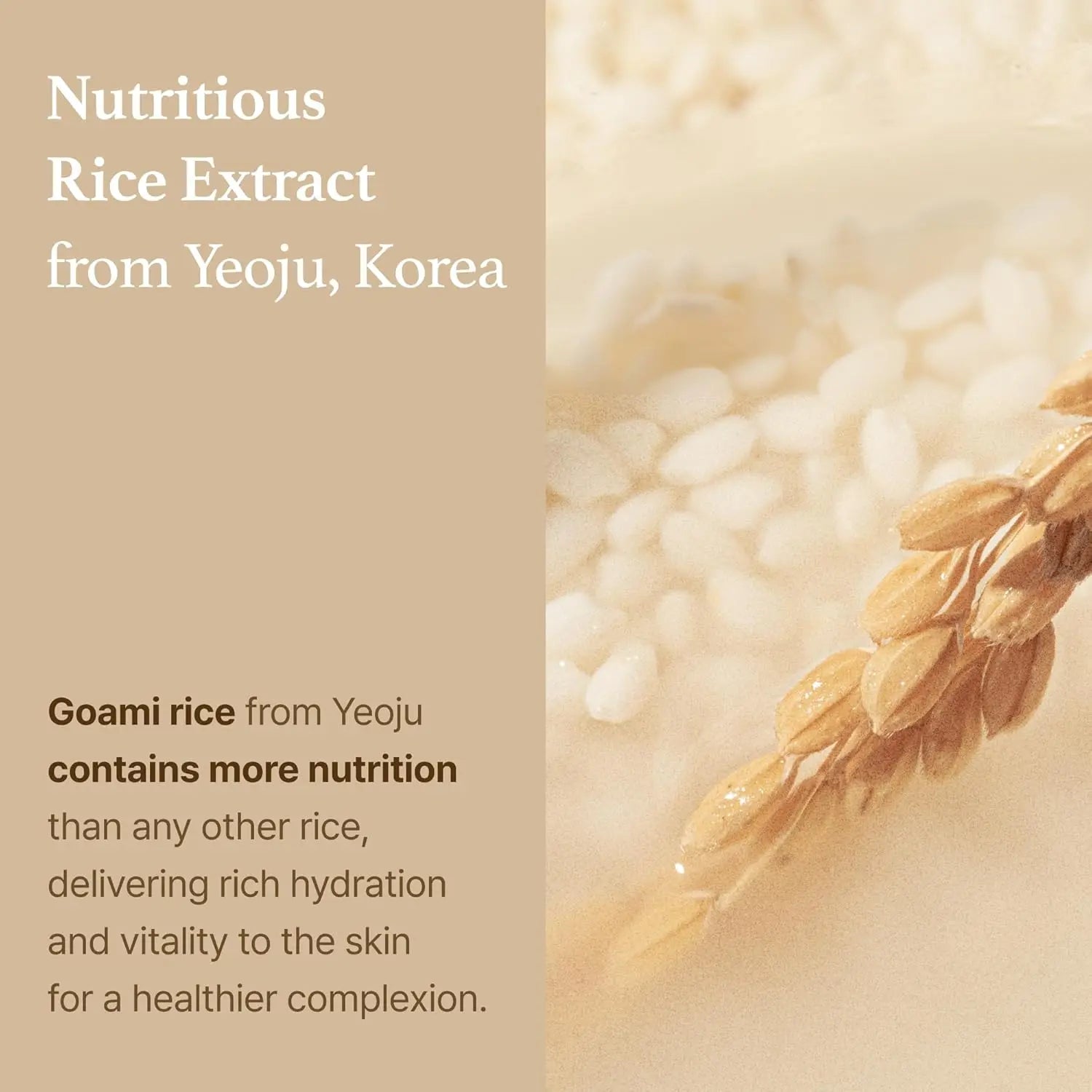 I'm from Rice Toner
