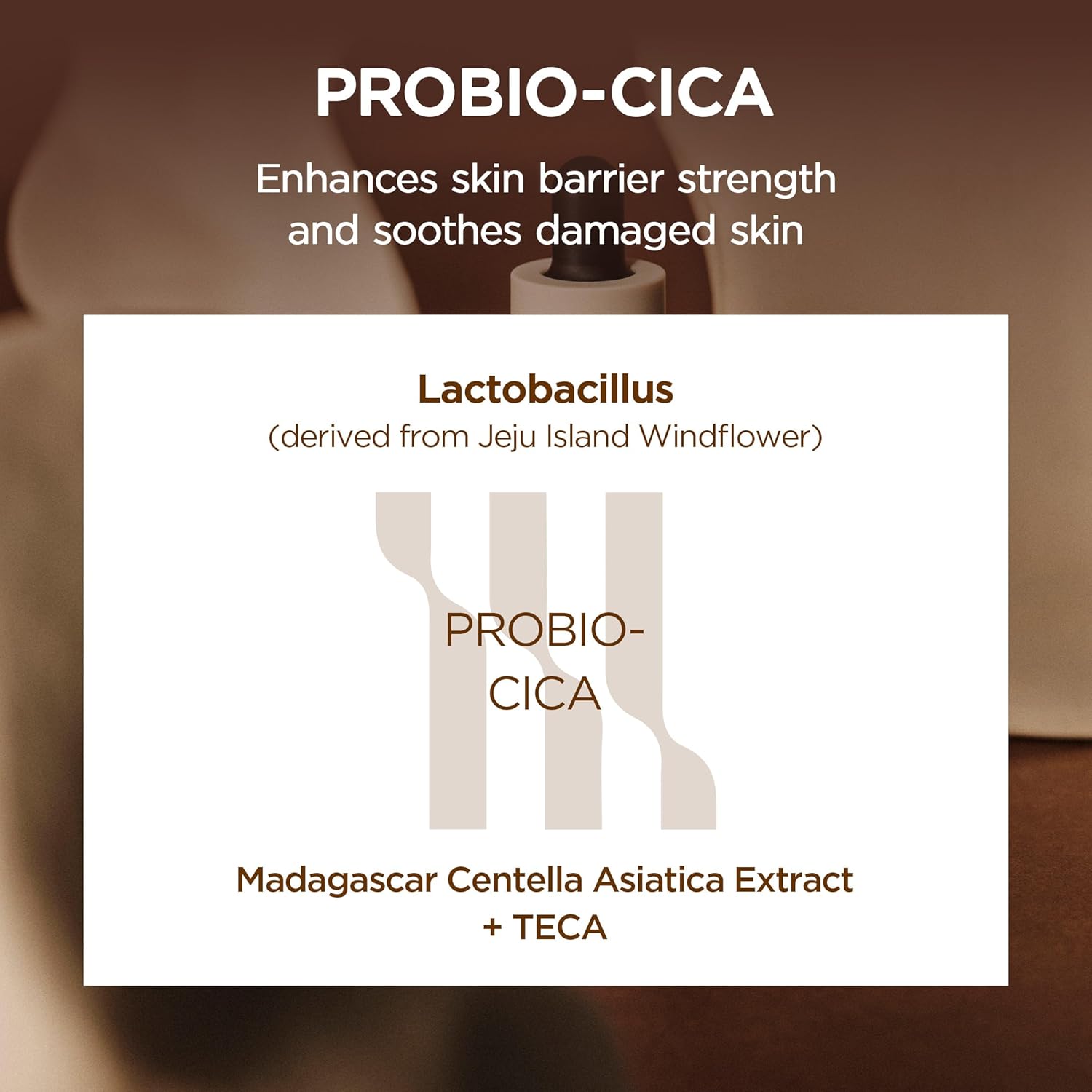 SKIN1004 Madagascar Centella Probio Cica Intensive Ampoule