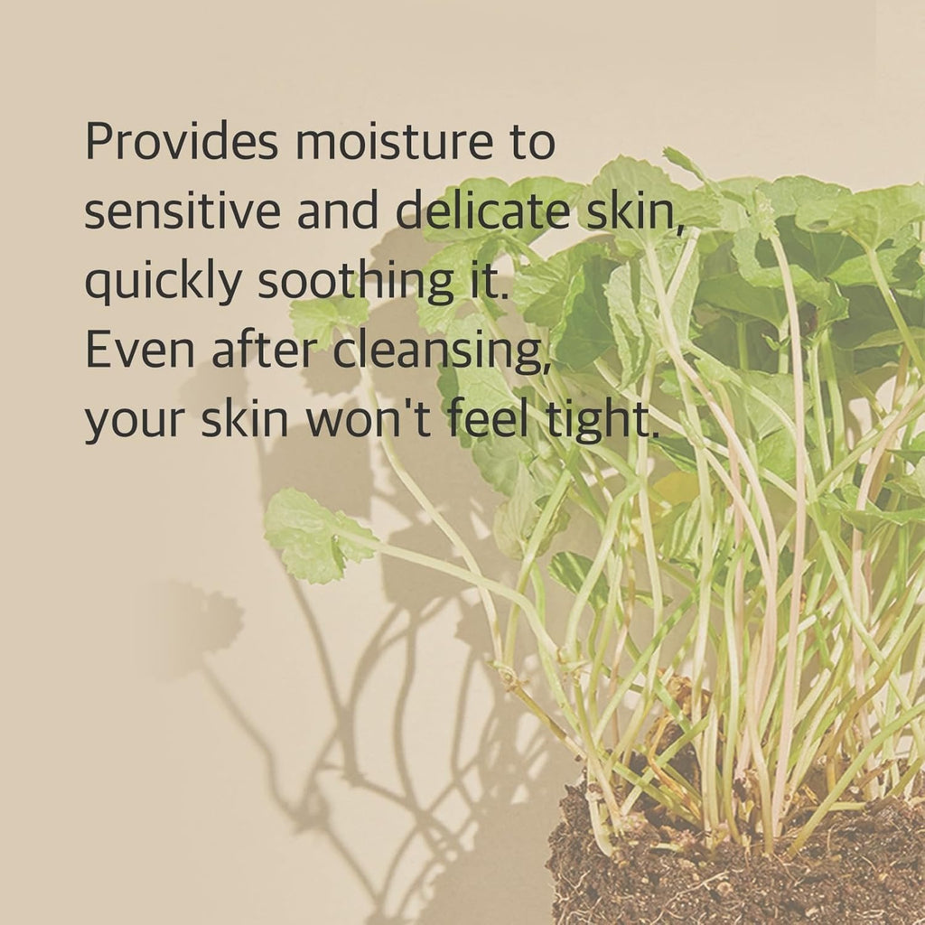 Mixsoon Centella Cleansing Foam