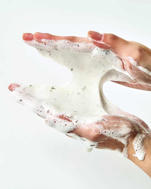 Anua Heartleaf Quercetinol Pore Deep Cleansing Foam